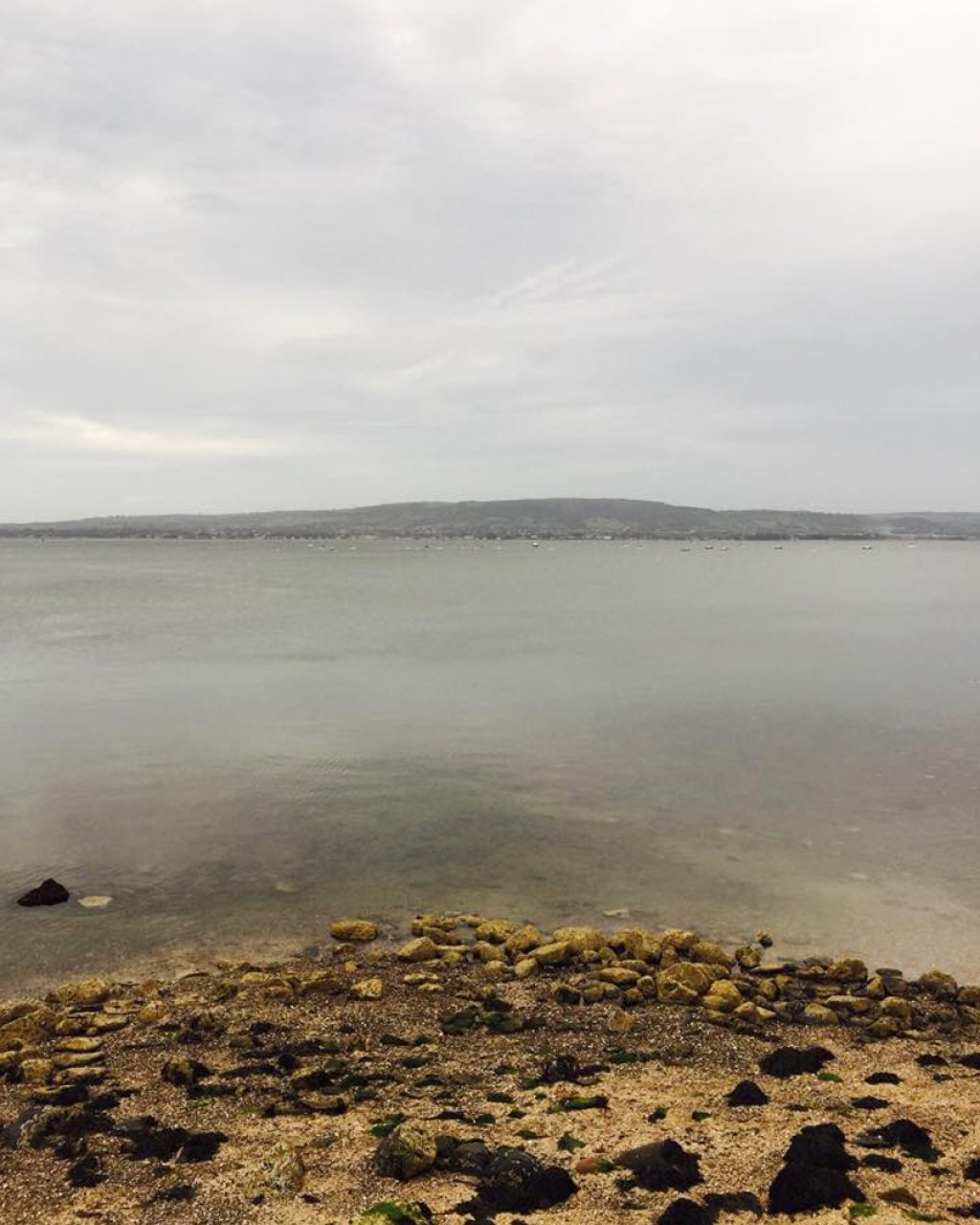 House Belfast Lough